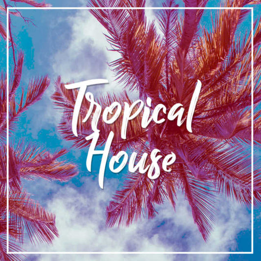 This Is Tropical House